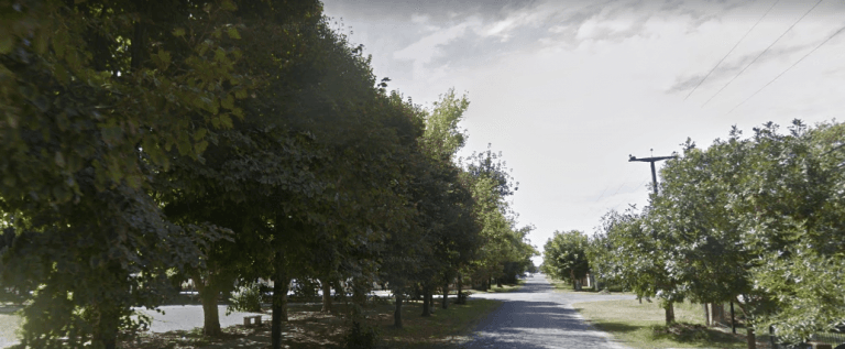 arboles