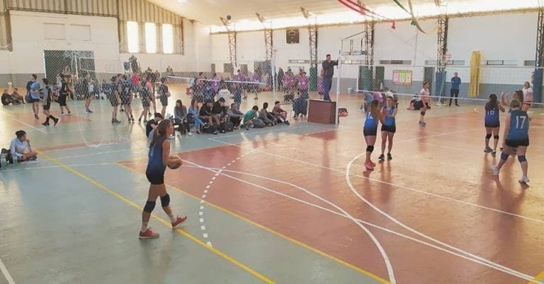 voley