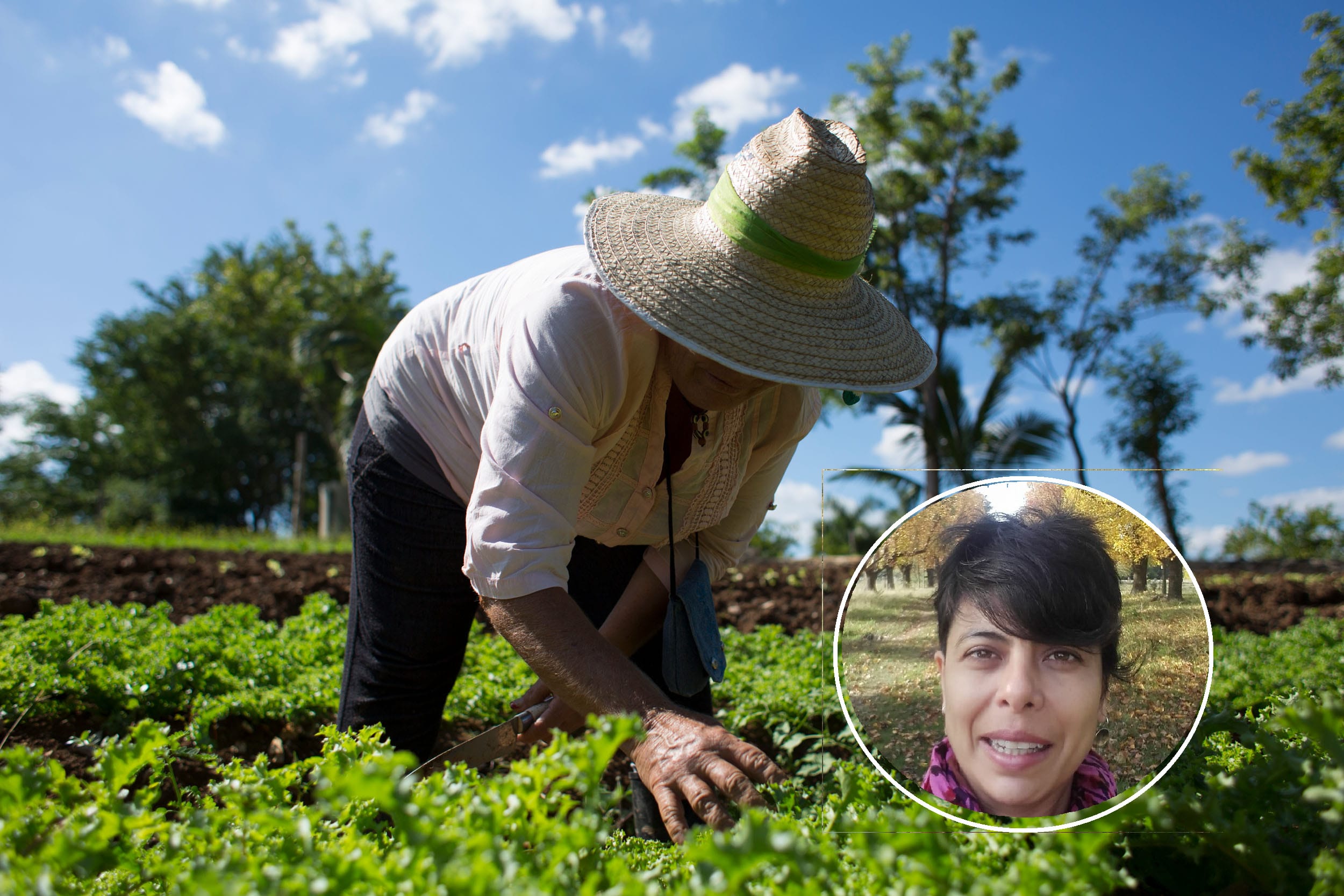 Miriam Coronel / La gente demanda cada vez mas  productos agroecológicos