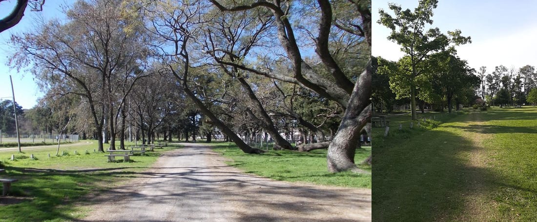 Nuevas habilitaciones para el Parque Municipal