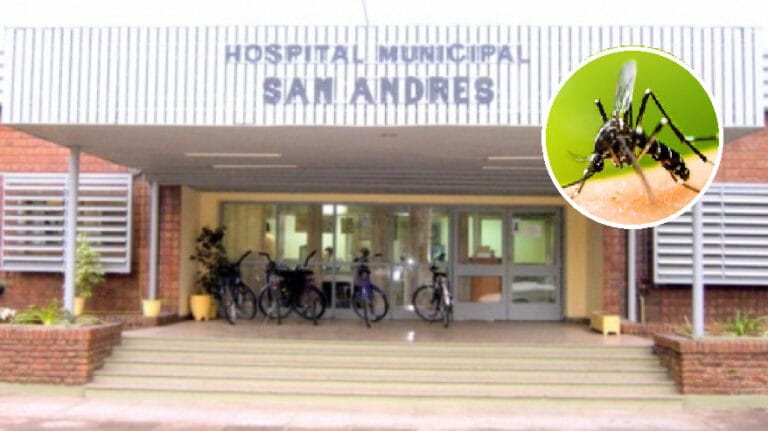caso-de-dengue