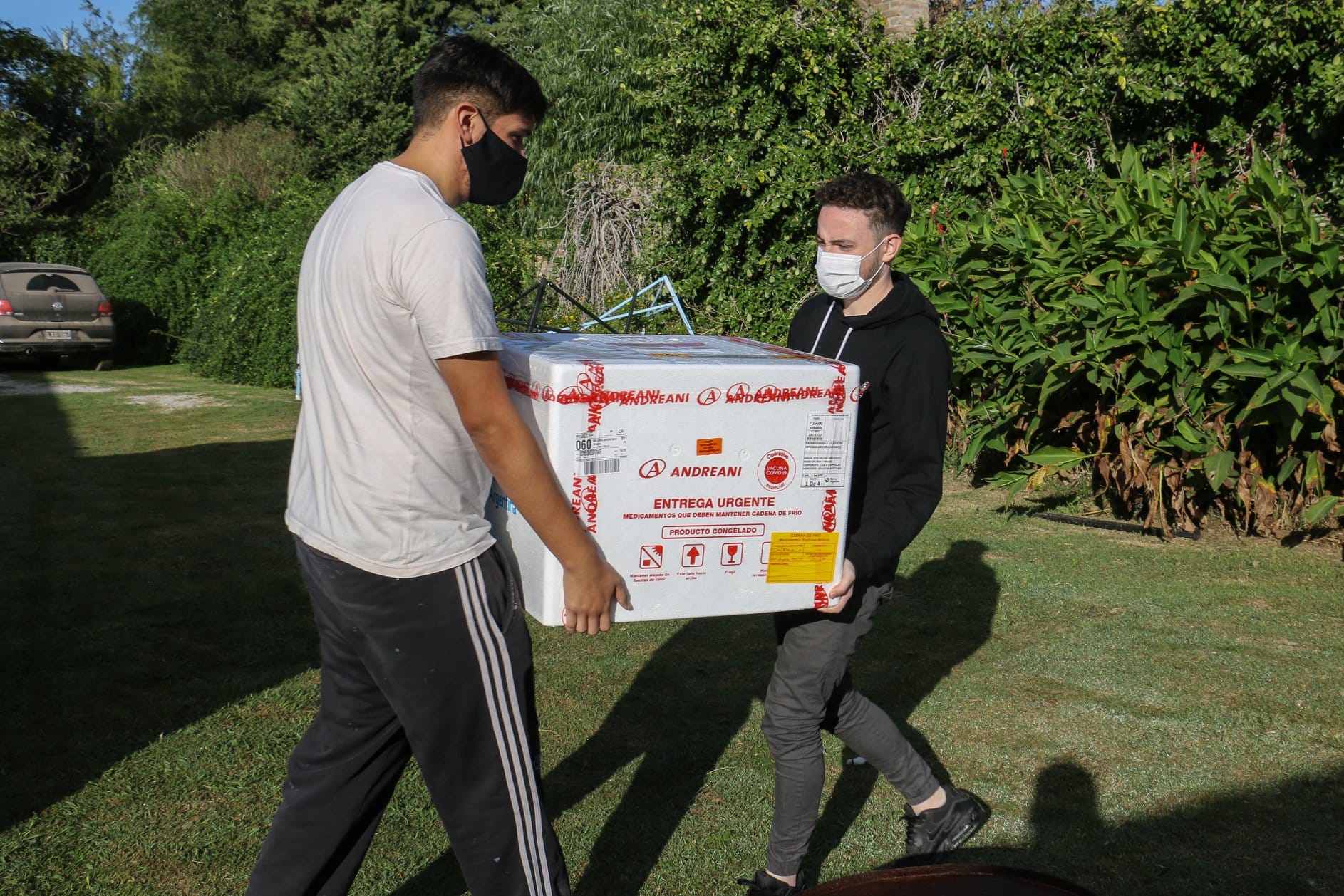 Llegaron 600 nuevas dosis