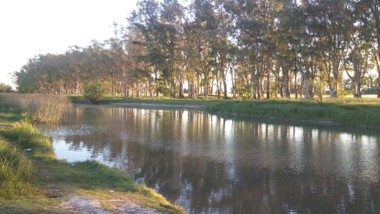 arroyo de villa ruis