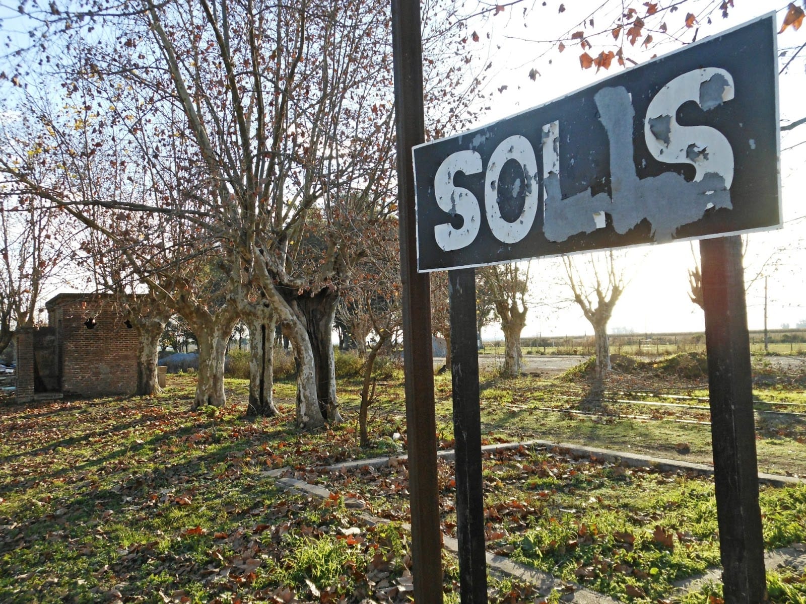 Solis cumple 127 años
