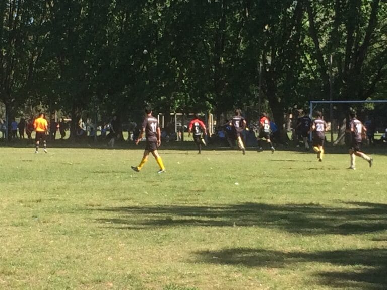 liga local