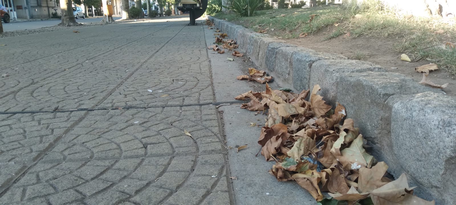 Sequia / Otoño en enero