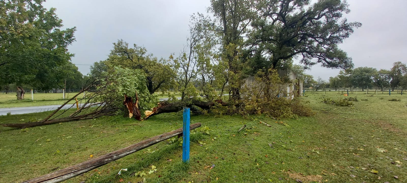 Cierran el parque municipal por este fin de semana