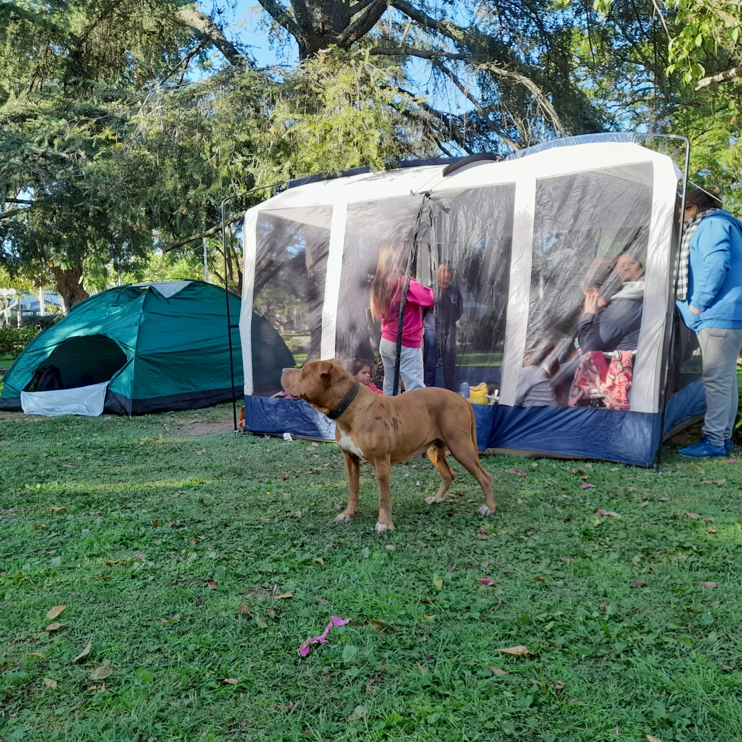 Sociedad / Acampe en la Plaza San Martin