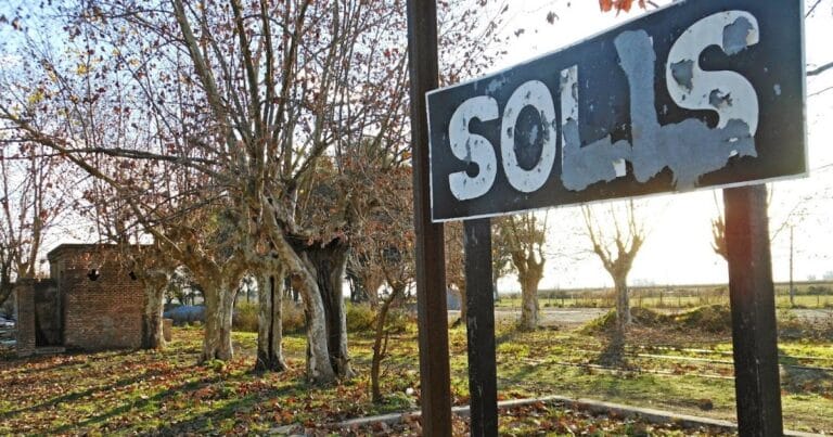 solis-cartel