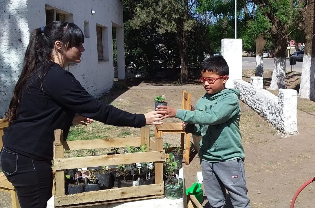 Entrega de plantines en Cucullu