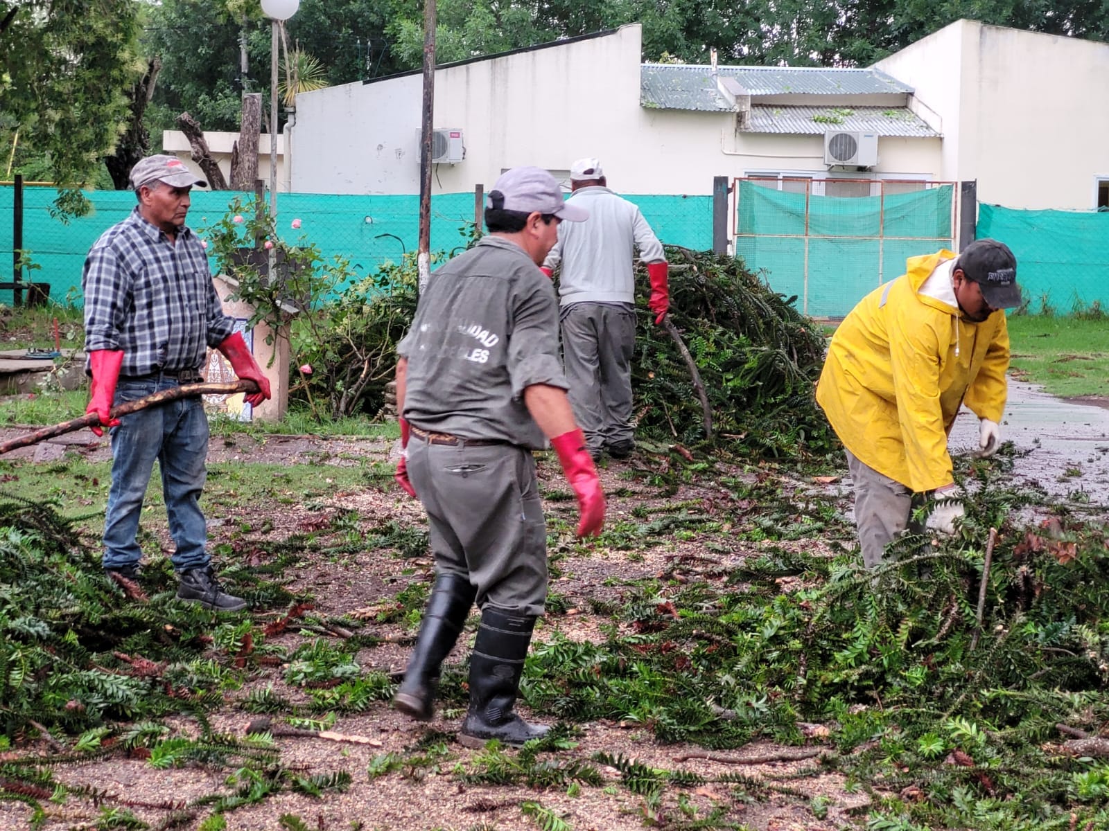 La Municipalidad trabaja quitando árboles y ramas caídas