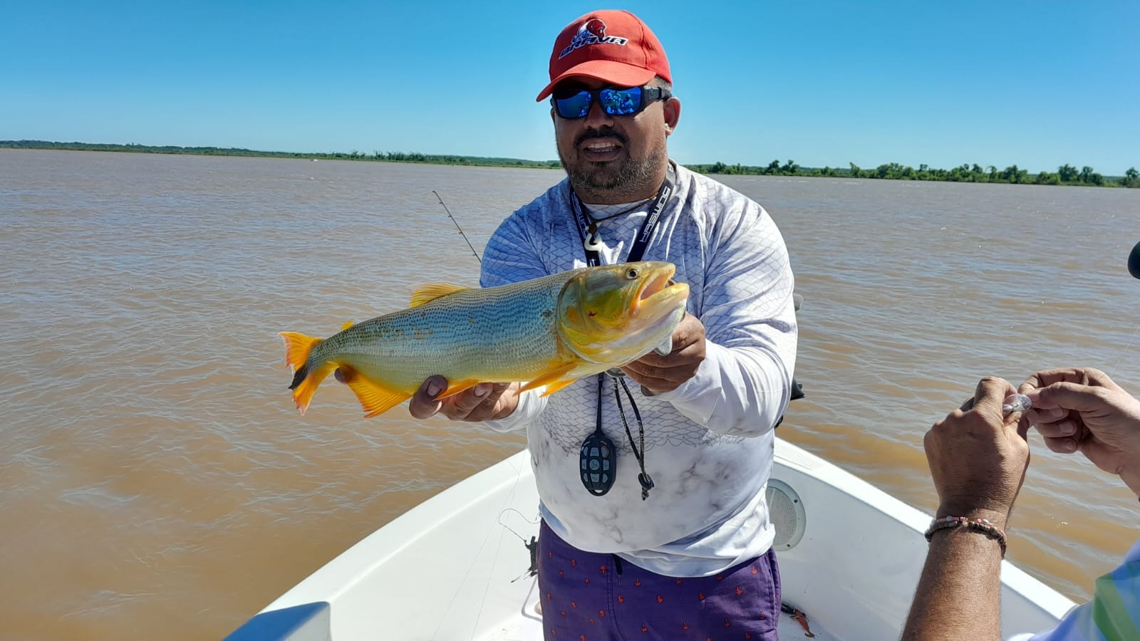 Pesca / Ramallo, en busca de los lingotes dorados