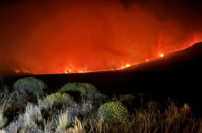 incendio