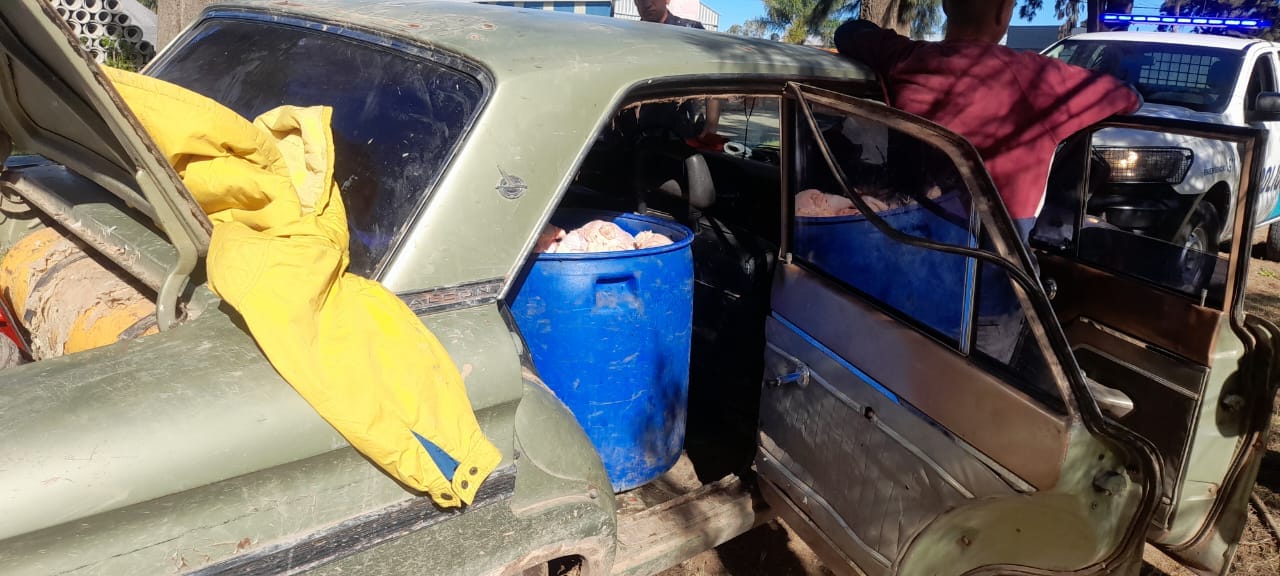 Llevaba 49 pollos faenados en un tacho