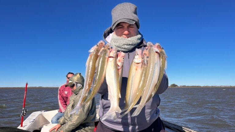 pesca-1