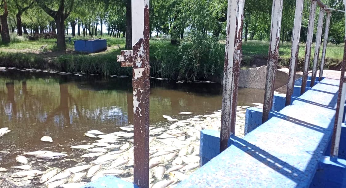 La contaminación de rio Areco preocupa cada vez más a los vecinos