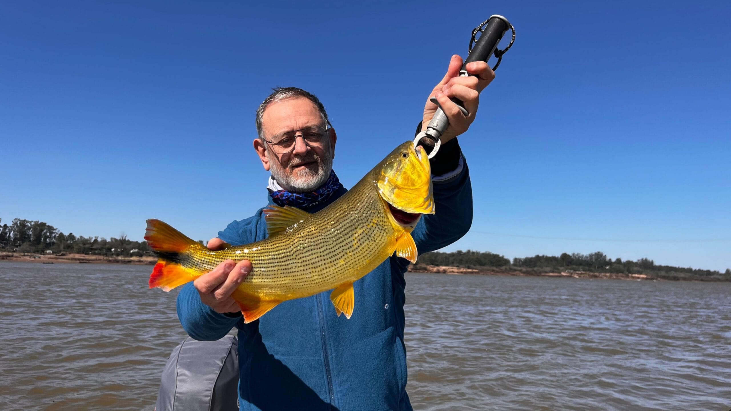 Pesca  /  Fiebre dorada en Concordia