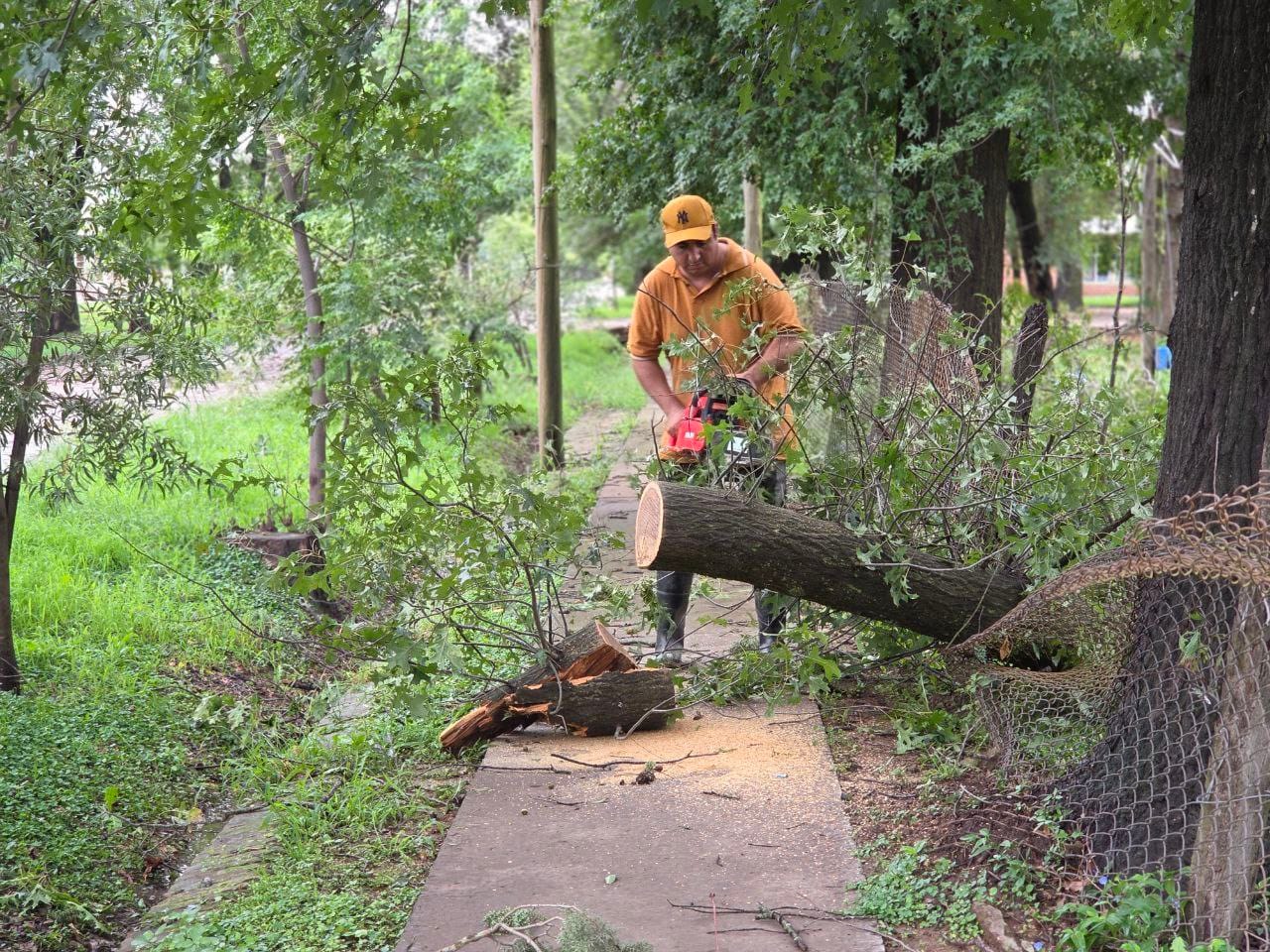 Tormentas, el cambio climático que muchos niegan