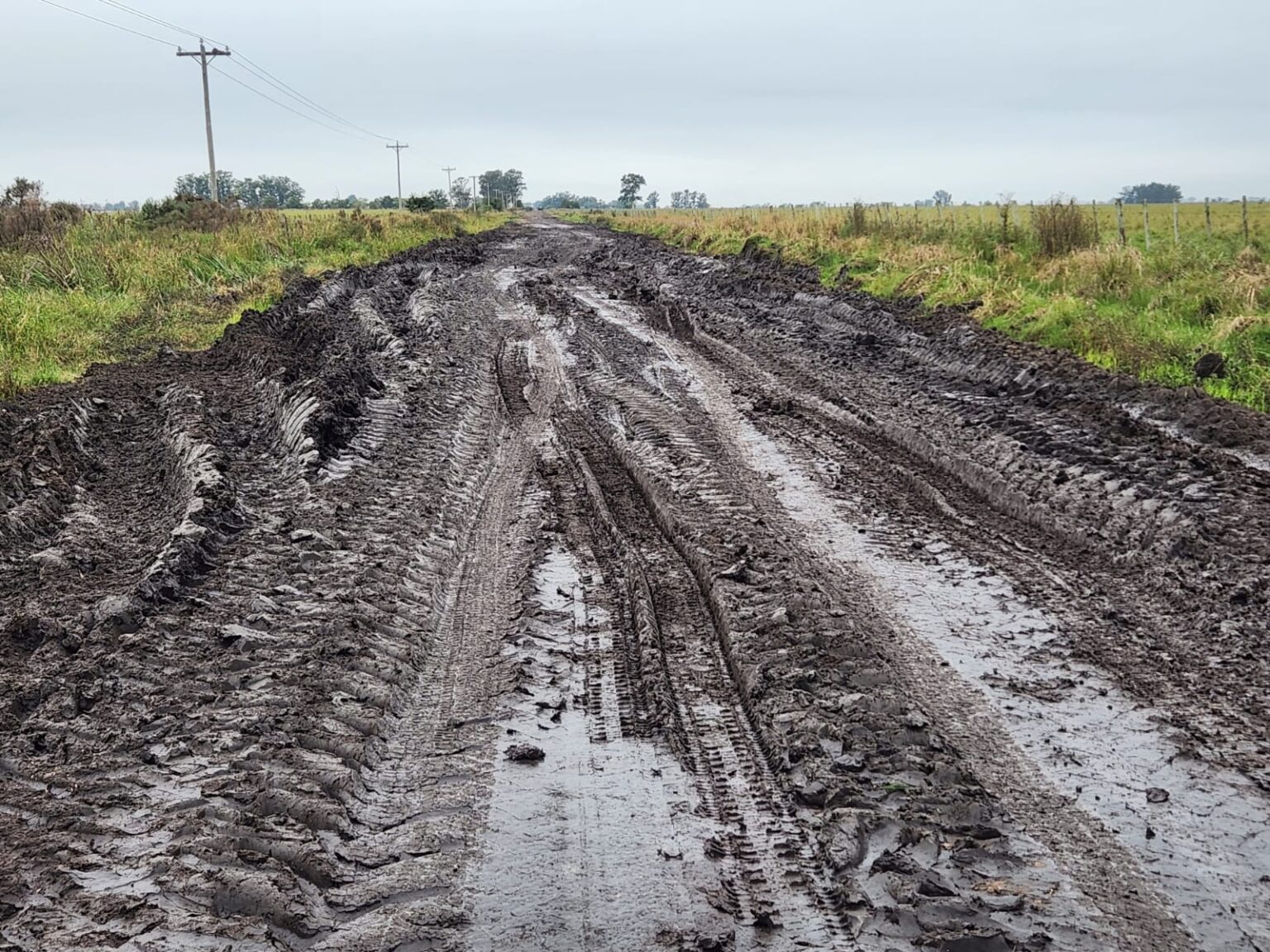 La sociedad Rural de Giles analiza judicializar el reclamo por los caminos rurales