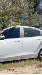 Foto gentileza BOSCO PRODUCCIONES