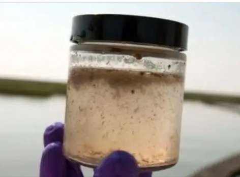 Arsénico, un problema real que hay que controlar