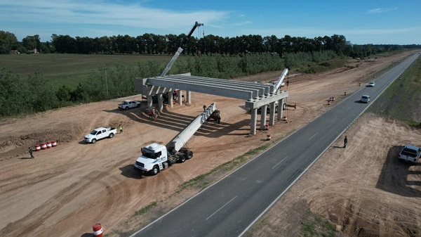 Autopista Giles-Areco: La ultima victima de la motosierra