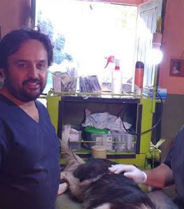 Siguen las contradicciones y dudas en torno a la gestión del refugio canino municipal