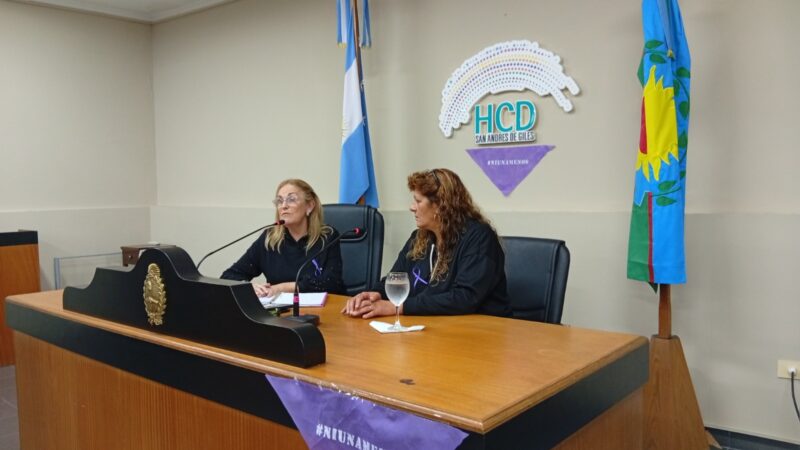 El Concejo deliberante reconoció la lucha de Mary Leonelly