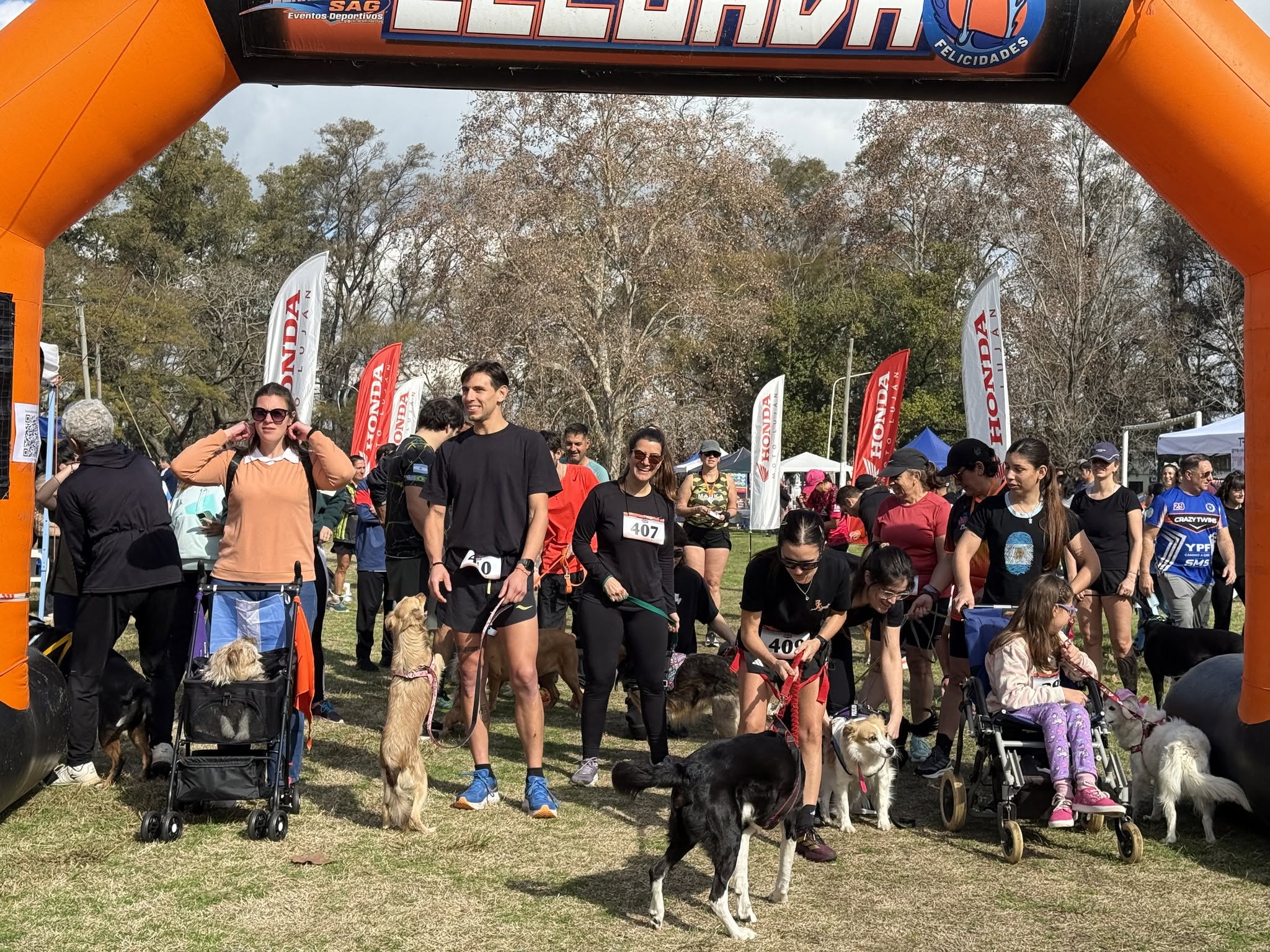 correcaminos