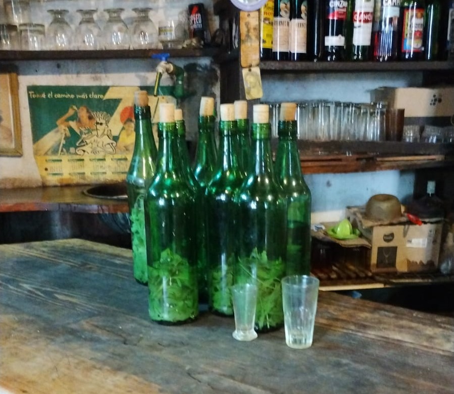 CAÑA CON RUDA