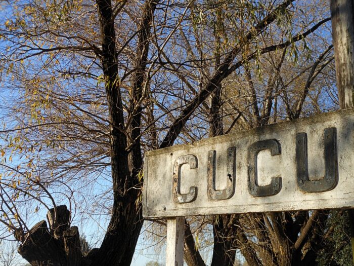 cucullu